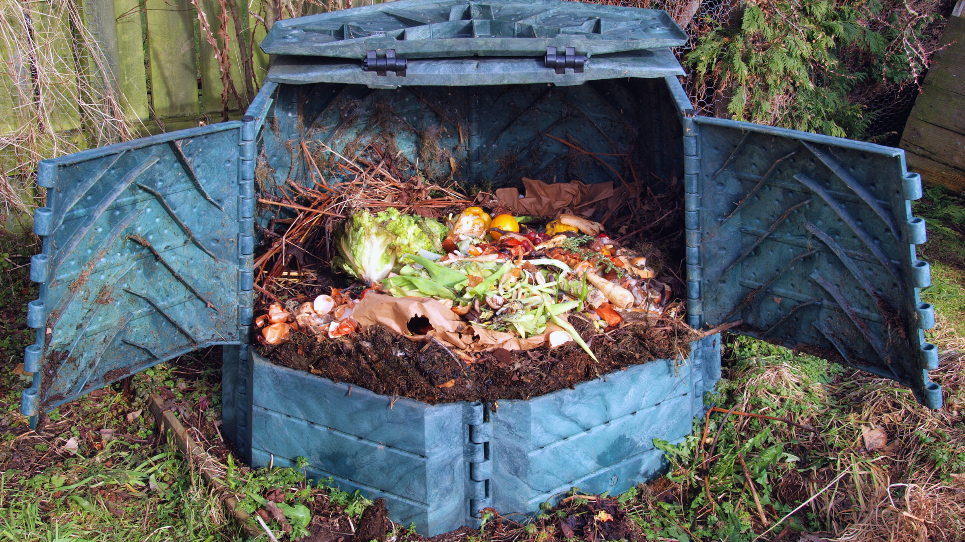 Simple Ways to Reduce Waste Through Garden Habits for Sustainable Living and Cost Savings
