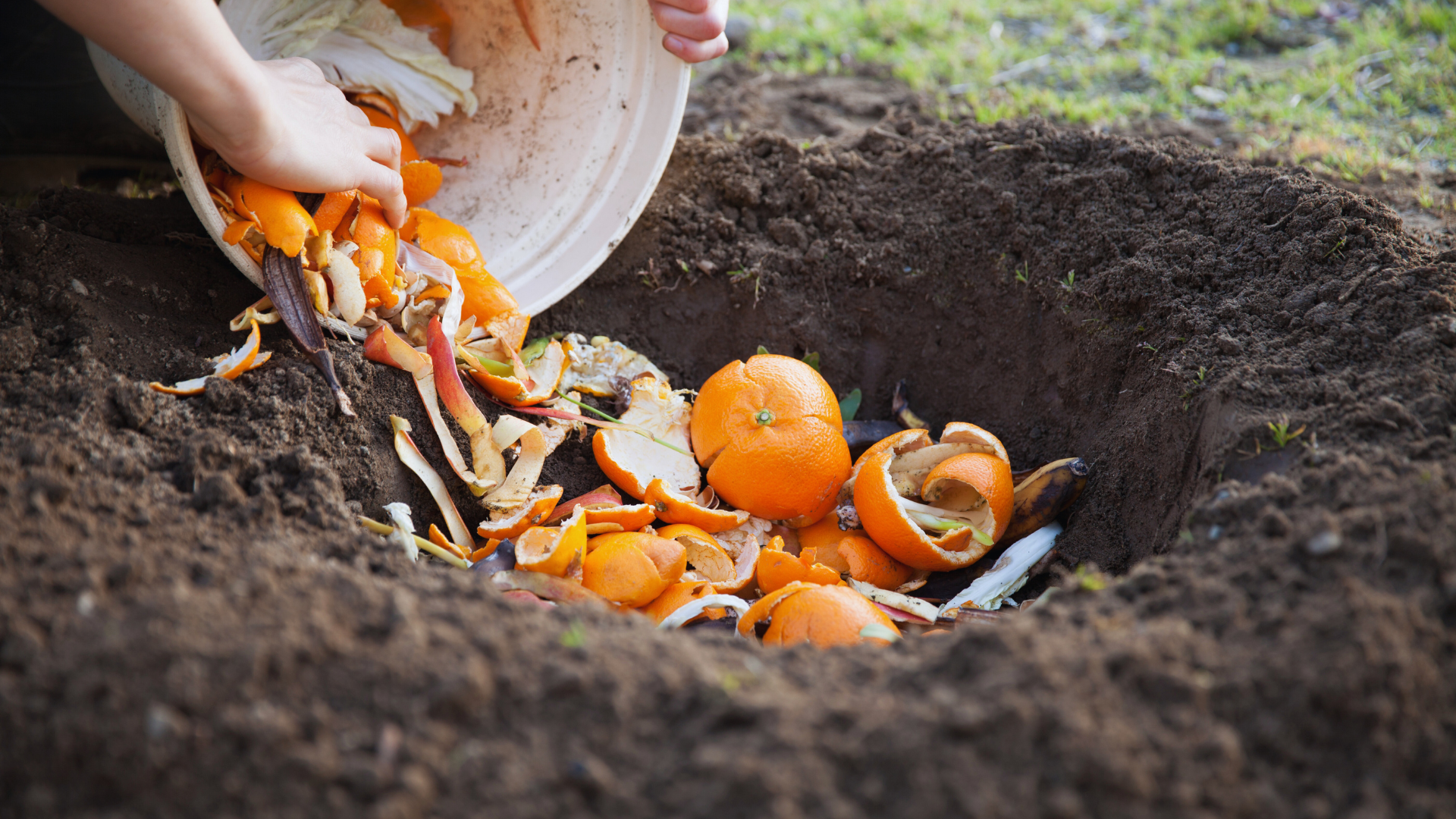 The Connection Between Composting and Soil Conservation: Enhancing Sustainable Land Management